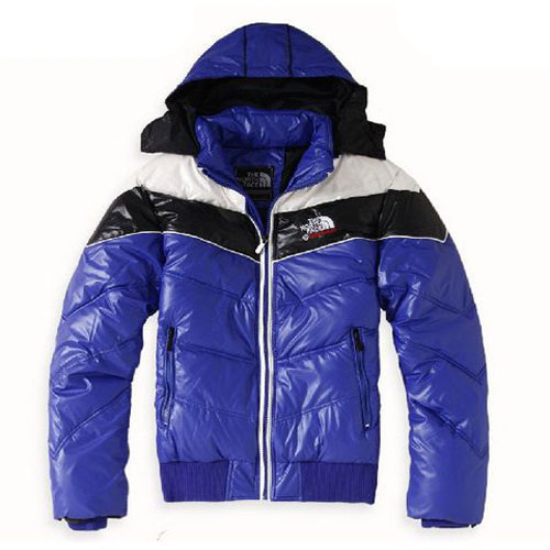 Heren North Face Hot Shot Down Jassen - Blauw