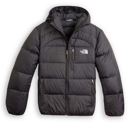 Heren North Face Down Jassen Black Verdi